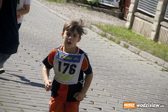 Zdjęcie w galerii na portalu naszwodzislaw.com: Po raz XXIII zorganizowano Radliński Bieg Ekologiczny. ZDJECIA  wiadomości z regionu