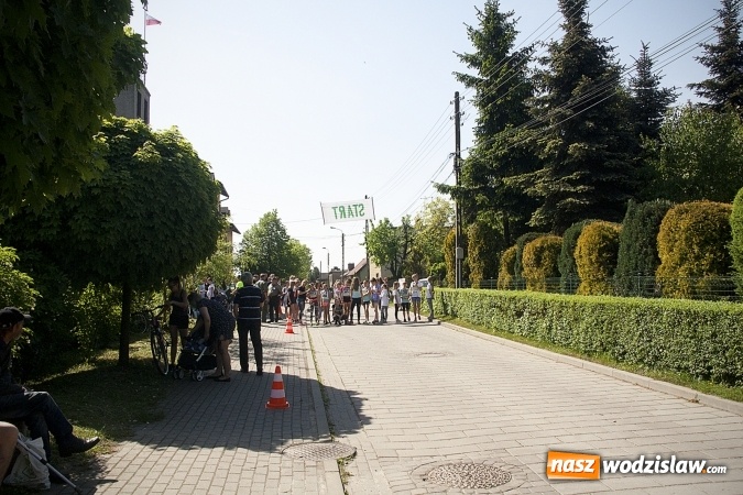 Zdjęcie w galerii na portalu naszwodzislaw.com: Po raz XXIII zorganizowano Radliński Bieg Ekologiczny. ZDJECIA  wiadomości z regionu