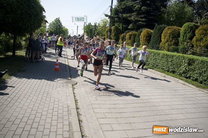 Zdjęcie w galerii na portalu naszwodzislaw.com: Po raz XXIII zorganizowano Radliński Bieg Ekologiczny. ZDJECIA  wiadomości z regionu