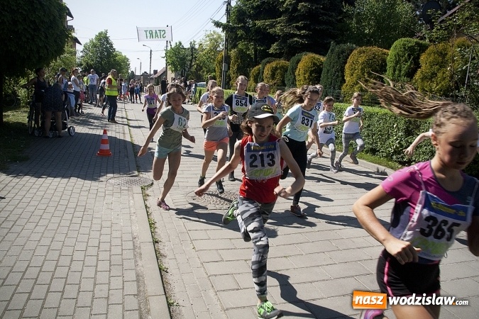 Zdjęcie w galerii na portalu naszwodzislaw.com: Po raz XXIII zorganizowano Radliński Bieg Ekologiczny. ZDJECIA  wiadomości z regionu