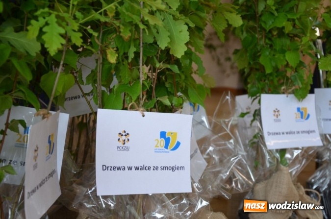 Zdjęcie w galerii na portalu naszwodzislaw.com: Jubileuszowy konkurs ekologiczny rozstrzygnięty. Posadzono również nowe drzewa  wiadomości z regionu