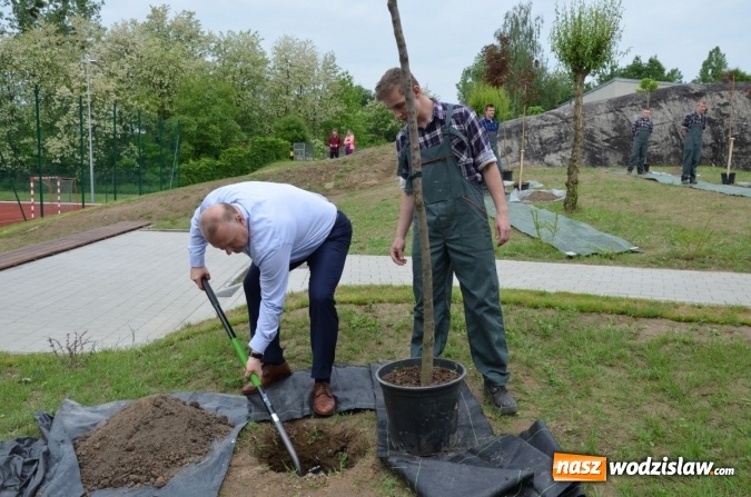 Zdjęcie w galerii na portalu naszwodzislaw.com: Jubileuszowy konkurs ekologiczny rozstrzygnięty. Posadzono również nowe drzewa  wiadomości z regionu