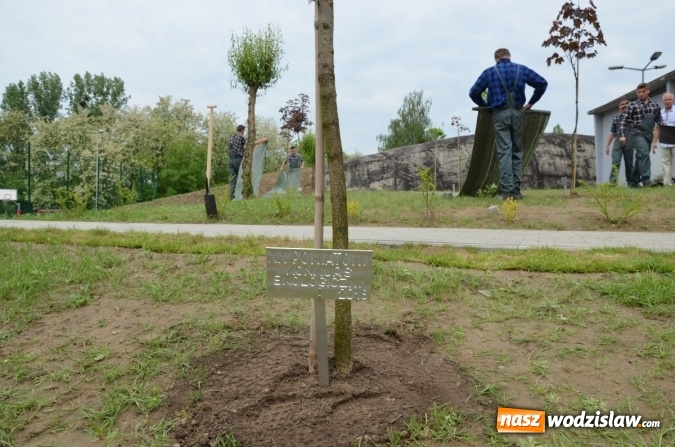 Zdjęcie w galerii na portalu naszwodzislaw.com: Jubileuszowy konkurs ekologiczny rozstrzygnięty. Posadzono również nowe drzewa  wiadomości z regionu