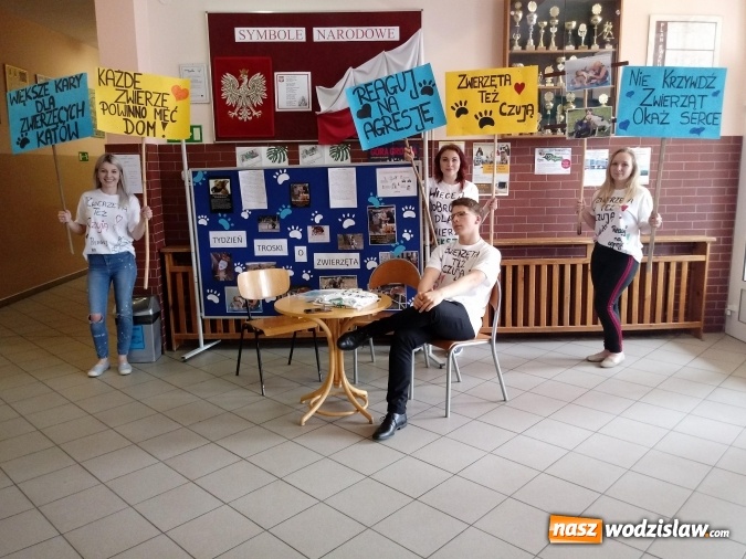 Zdjęcie w galerii na portalu naszwodzislaw.com: Zwierzęta też czują. Tydzień troski o zwierzęta w Gogołowej  wiadomości z regionu