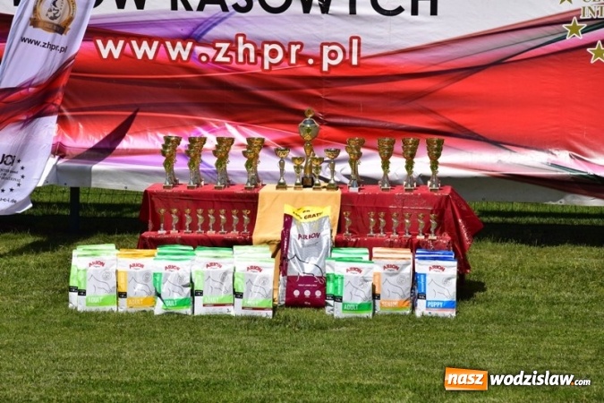 Zdjęcie w galerii na portalu naszwodzislaw.com: IV Międzynarodowa Wystawa Psów Rasowych w Połomi wiadomości z regionu