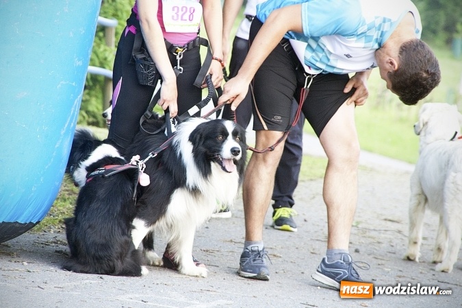 Zdjęcie w galerii na portalu naszwodzislaw.com: Zedrzyj szczewiki dla Bereniki. Pobiegli dla mieszkanki Łazisk. FOTO wiadomości z regionu