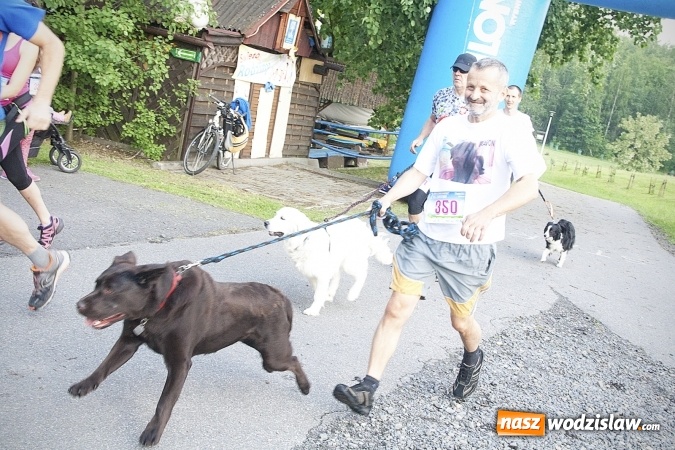 Zdjęcie w galerii na portalu naszwodzislaw.com: Zedrzyj szczewiki dla Bereniki. Pobiegli dla mieszkanki Łazisk. FOTO wiadomości z regionu