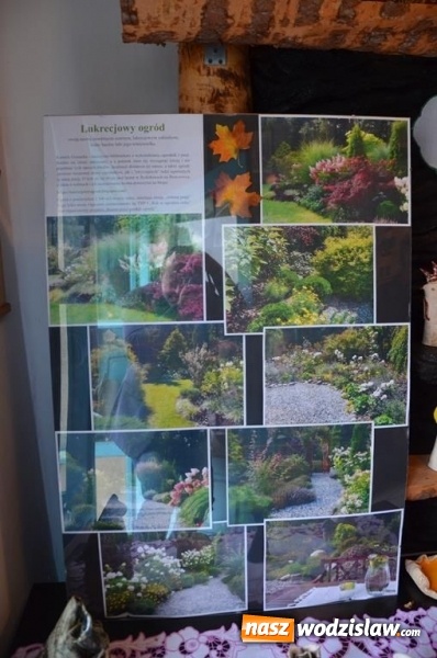 Zdjęcie w galerii na portalu naszwodzislaw.com: Profesorskie pasje w galerii Art Wladislavia wiadomości z regionu