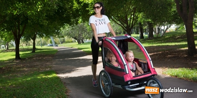 Zdjęcie w galerii na portalu naszwodzislaw.com: Przyczepka rowerowa dla dzieci. Czym kierować się przy wyborze? wiadomości z regionu
