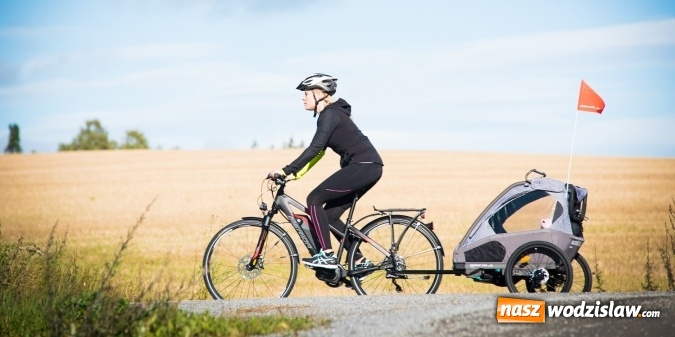 Zdjęcie w galerii na portalu naszwodzislaw.com: Przyczepka rowerowa dla dzieci. Czym kierować się przy wyborze? wiadomości z regionu