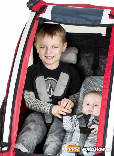 Zdjęcie w galerii na portalu naszwodzislaw.com: Przyczepka rowerowa dla dzieci. Czym kierować się przy wyborze? wiadomości z regionu