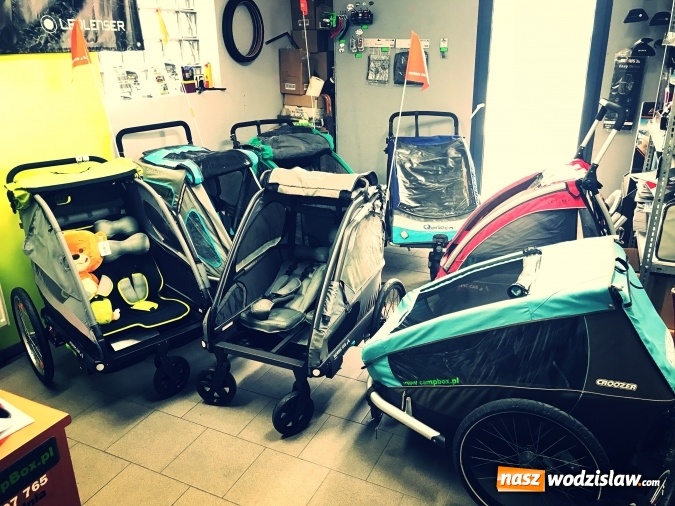 Zdjęcie w galerii na portalu naszwodzislaw.com: Przyczepka rowerowa dla dzieci. Czym kierować się przy wyborze? wiadomości z regionu