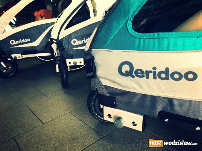 Zdjęcie w galerii na portalu naszwodzislaw.com: Przyczepka rowerowa dla dzieci. Czym kierować się przy wyborze? wiadomości z regionu