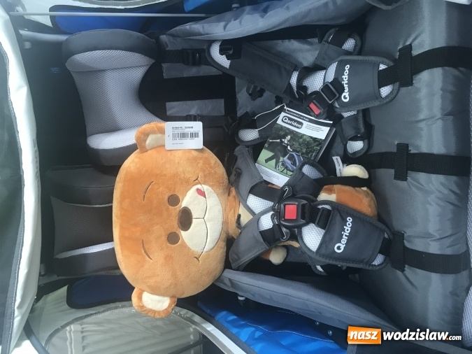 Zdjęcie w galerii na portalu naszwodzislaw.com: Przyczepka rowerowa dla dzieci. Czym kierować się przy wyborze? wiadomości z regionu