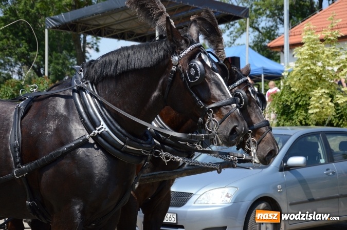 Zdjęcie w galerii na portalu naszwodzislaw.com: Kondukt pogrzebowy przeszedł ulicami Grabówki. Bordynowska Pani miała powtórny pogrzeb wiadomości z regionu