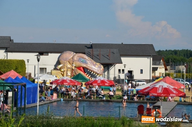 Zdjęcie w galerii na portalu naszwodzislaw.com: Piknik Rodzinny już za nami. ZDJĘCIA wiadomości z regionu