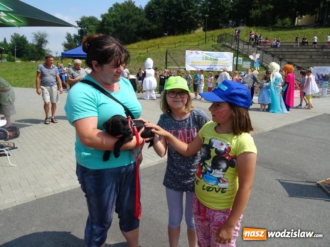 Zdjęcie w galerii na portalu naszwodzislaw.com: Pierwsza edycja śląskiego marszobiegu terenowego za nami  wiadomości z regionu