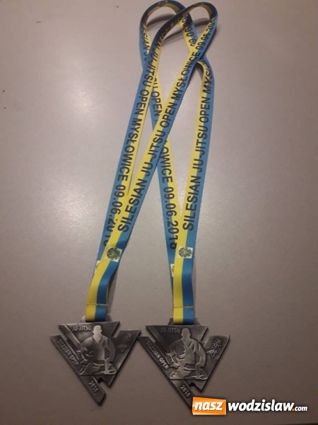 Zdjęcie w galerii na portalu naszwodzislaw.com: 10 medali Octagon team Junior na Silesian Open wiadomości z regionu