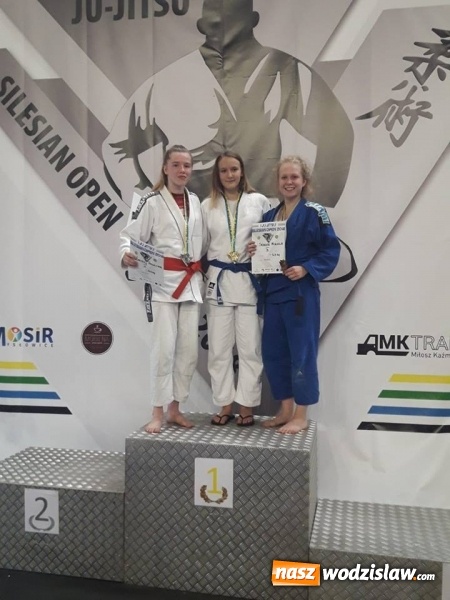Zdjęcie w galerii na portalu naszwodzislaw.com: 10 medali Octagon team Junior na Silesian Open wiadomości z regionu