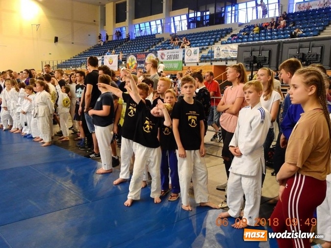 Zdjęcie w galerii na portalu naszwodzislaw.com: 10 medali Octagon team Junior na Silesian Open wiadomości z regionu
