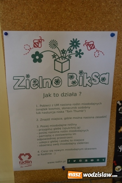 Zdjęcie w galerii na portalu naszwodzislaw.com: Radlin: Zielno Biksa w Radlinie, czyli bankomat nasion miododajnych wiadomości z regionu