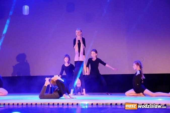 Zdjęcie w galerii na portalu naszwodzislaw.com: Za nami III edycja Gali Judo Kids wiadomości z regionu
