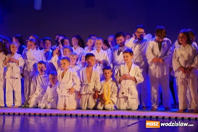 Zdjęcie w galerii na portalu naszwodzislaw.com: Za nami III edycja Gali Judo Kids wiadomości z regionu