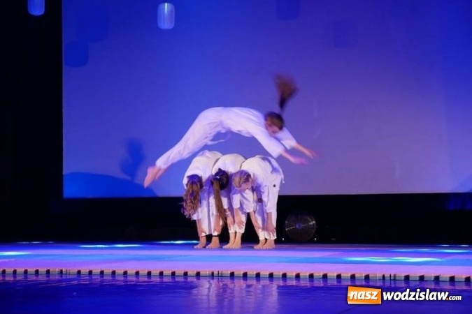 Zdjęcie w galerii na portalu naszwodzislaw.com: Za nami III edycja Gali Judo Kids wiadomości z regionu