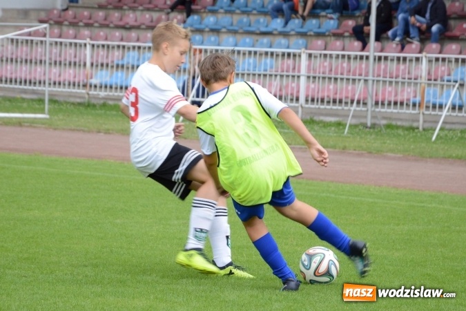 Zdjęcie w galerii na portalu naszwodzislaw.com: Turniej Odra Cup w Wodzisławiu przyciągnął wiele drużyn  wiadomości z regionu