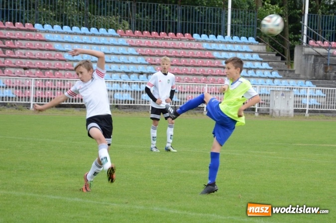 Zdjęcie w galerii na portalu naszwodzislaw.com: Turniej Odra Cup w Wodzisławiu przyciągnął wiele drużyn  wiadomości z regionu