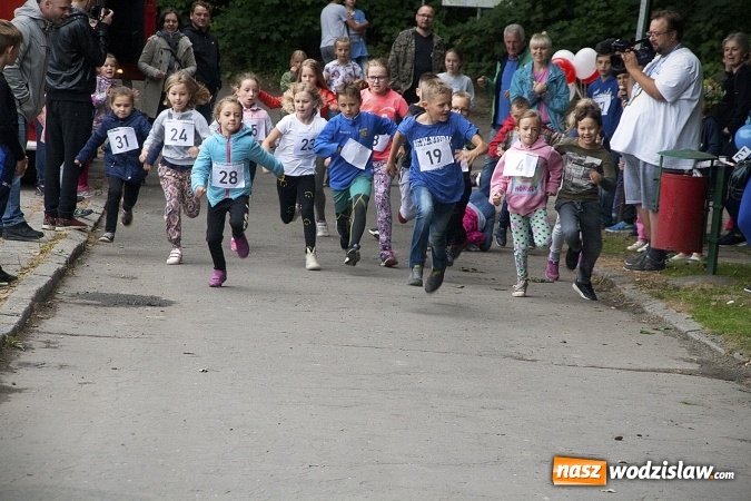 Zdjęcie w galerii na portalu naszwodzislaw.com: Pletli wianki i biesiadowali przy ognisku. Zorganizowano III Wodzisławską Noc Świętojańską wiadomości z regionu
