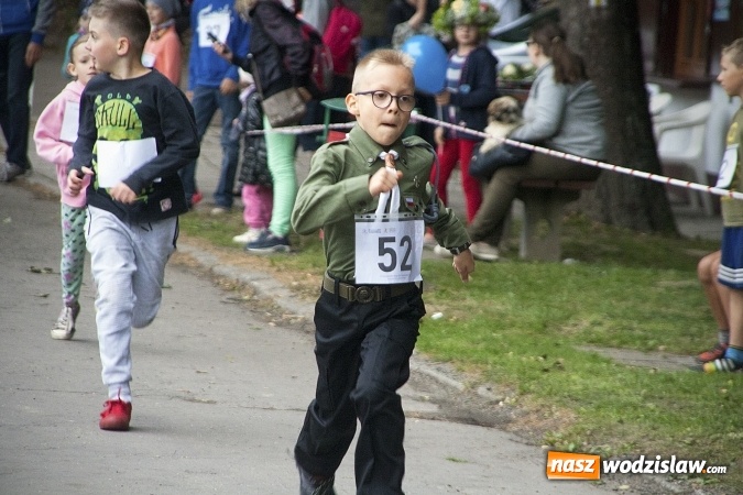 Zdjęcie w galerii na portalu naszwodzislaw.com: Pletli wianki i biesiadowali przy ognisku. Zorganizowano III Wodzisławską Noc Świętojańską wiadomości z regionu
