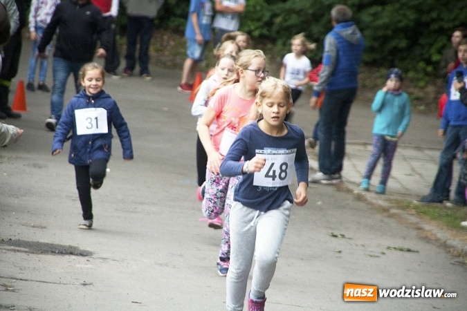 Zdjęcie w galerii na portalu naszwodzislaw.com: Pletli wianki i biesiadowali przy ognisku. Zorganizowano III Wodzisławską Noc Świętojańską wiadomości z regionu
