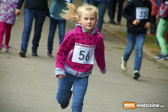 Zdjęcie w galerii na portalu naszwodzislaw.com: Pletli wianki i biesiadowali przy ognisku. Zorganizowano III Wodzisławską Noc Świętojańską wiadomości z regionu