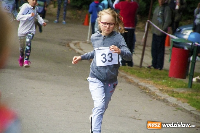 Zdjęcie w galerii na portalu naszwodzislaw.com: Pletli wianki i biesiadowali przy ognisku. Zorganizowano III Wodzisławską Noc Świętojańską wiadomości z regionu