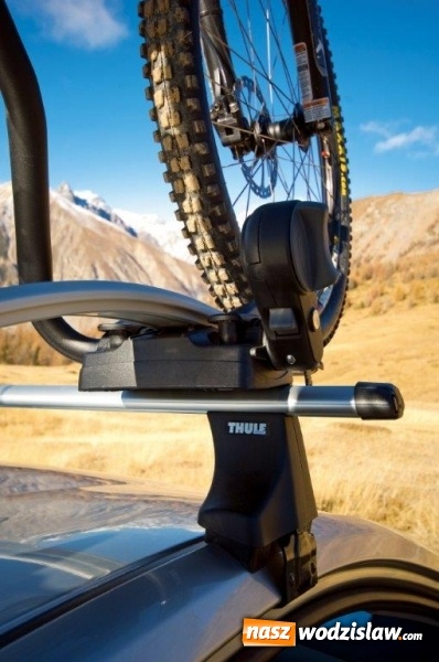 Zdjęcie w galerii na portalu naszwodzislaw.com: CampBox – kupuj online, odbieraj stacjonarnie w cenach internetowych!  wiadomości z regionu