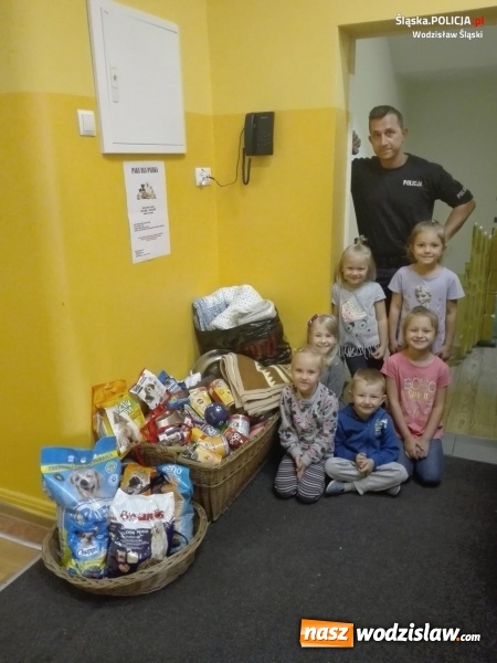 Zdjęcie w galerii na portalu naszwodzislaw.com: Dzielnicowi z Radlina zorganizowali zbiórkę karmy dla bezdomnych zwierząt wiadomości z regionu