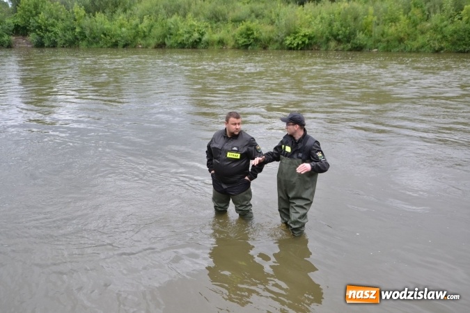 Zdjęcie w galerii na portalu naszwodzislaw.com: Sezon wodniacki oficjalnie rozpoczęty  wiadomości z regionu