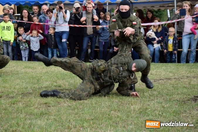 Zdjęcie w galerii na portalu naszwodzislaw.com: OPERACJA MSZANA - fotoreportaż wiadomości z regionu
