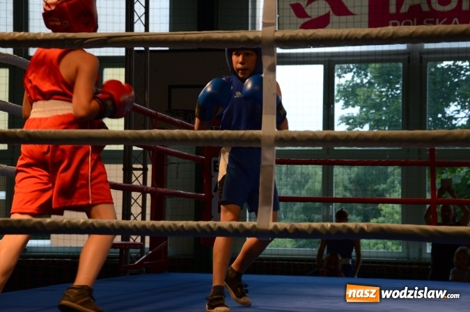 Zdjęcie w galerii na portalu naszwodzislaw.com: Polsko-brytyjskie zmagania na ringu w Wodzisławiu Śląskim  wiadomości z regionu