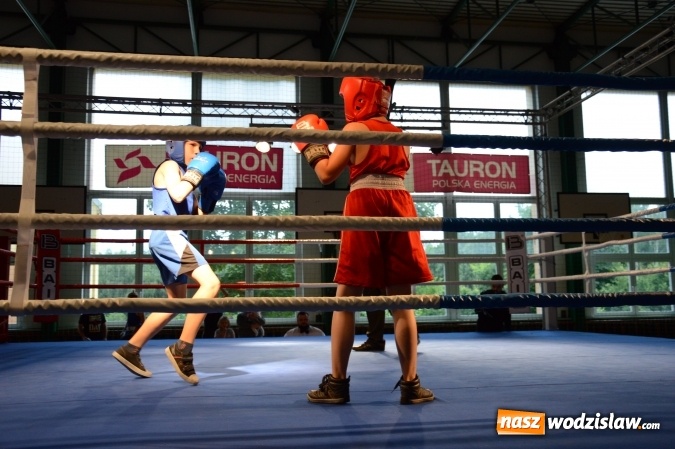 Zdjęcie w galerii na portalu naszwodzislaw.com: Polsko-brytyjskie zmagania na ringu w Wodzisławiu Śląskim  wiadomości z regionu