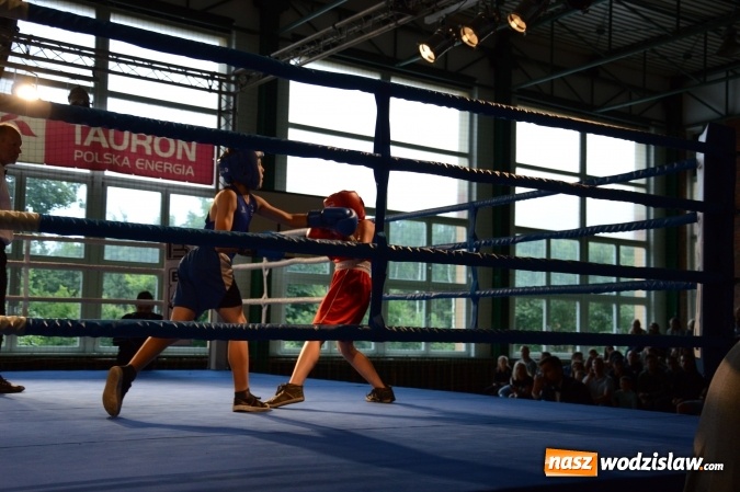 Zdjęcie w galerii na portalu naszwodzislaw.com: Polsko-brytyjskie zmagania na ringu w Wodzisławiu Śląskim  wiadomości z regionu