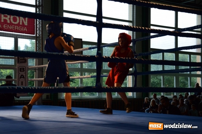 Zdjęcie w galerii na portalu naszwodzislaw.com: Polsko-brytyjskie zmagania na ringu w Wodzisławiu Śląskim  wiadomości z regionu