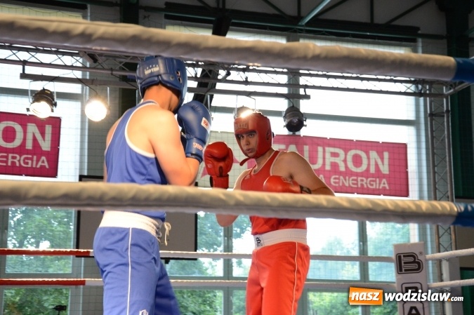 Zdjęcie w galerii na portalu naszwodzislaw.com: Polsko-brytyjskie zmagania na ringu w Wodzisławiu Śląskim  wiadomości z regionu
