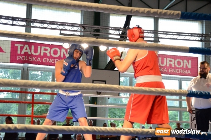 Zdjęcie w galerii na portalu naszwodzislaw.com: Polsko-brytyjskie zmagania na ringu w Wodzisławiu Śląskim  wiadomości z regionu