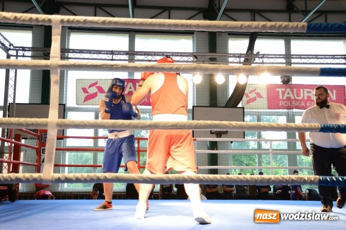 Zdjęcie w galerii na portalu naszwodzislaw.com: Polsko-brytyjskie zmagania na ringu w Wodzisławiu Śląskim  wiadomości z regionu