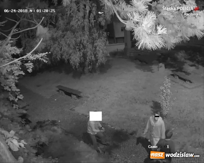 Zdjęcie w galerii na portalu naszwodzislaw.com: Rozbojarze z Krzyżanowic zatrzymani. To mieszkańcy powiatu wodzisławskiego  wiadomości z regionu