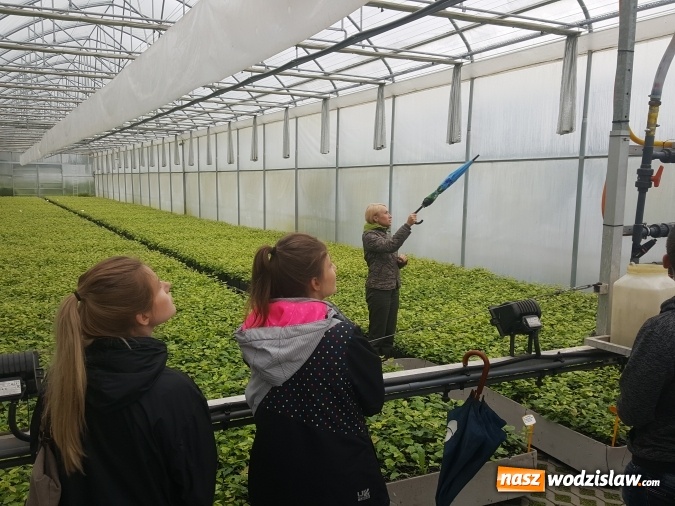 Zdjęcie w galerii na portalu naszwodzislaw.com: Współpraca PWSZ w Raciborzu z Nadleśnictwem Rudy Raciborskie  wiadomości z regionu