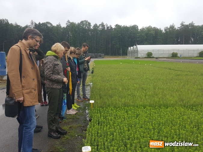 Zdjęcie w galerii na portalu naszwodzislaw.com: Współpraca PWSZ w Raciborzu z Nadleśnictwem Rudy Raciborskie  wiadomości z regionu