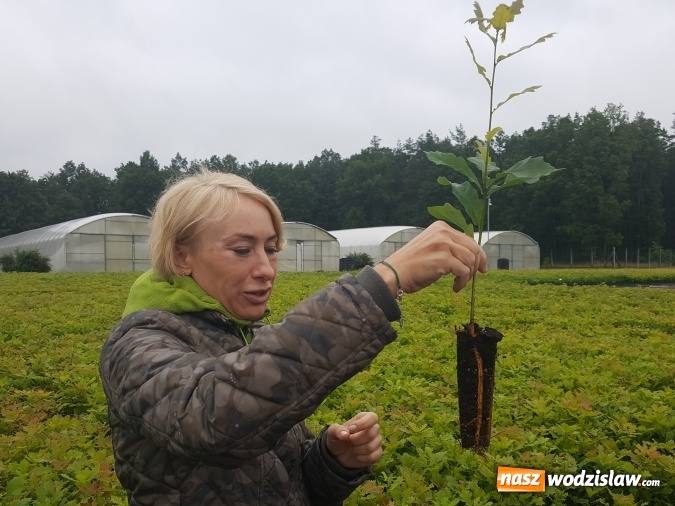 Zdjęcie w galerii na portalu naszwodzislaw.com: Współpraca PWSZ w Raciborzu z Nadleśnictwem Rudy Raciborskie  wiadomości z regionu
